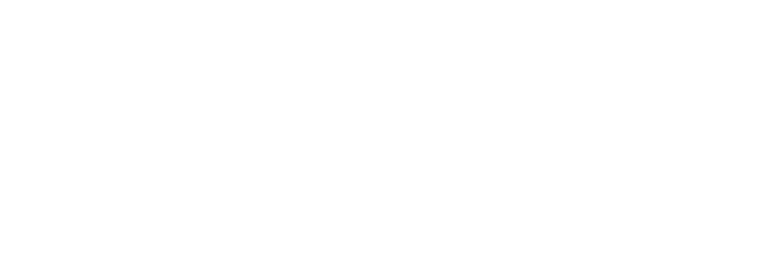 Logo White